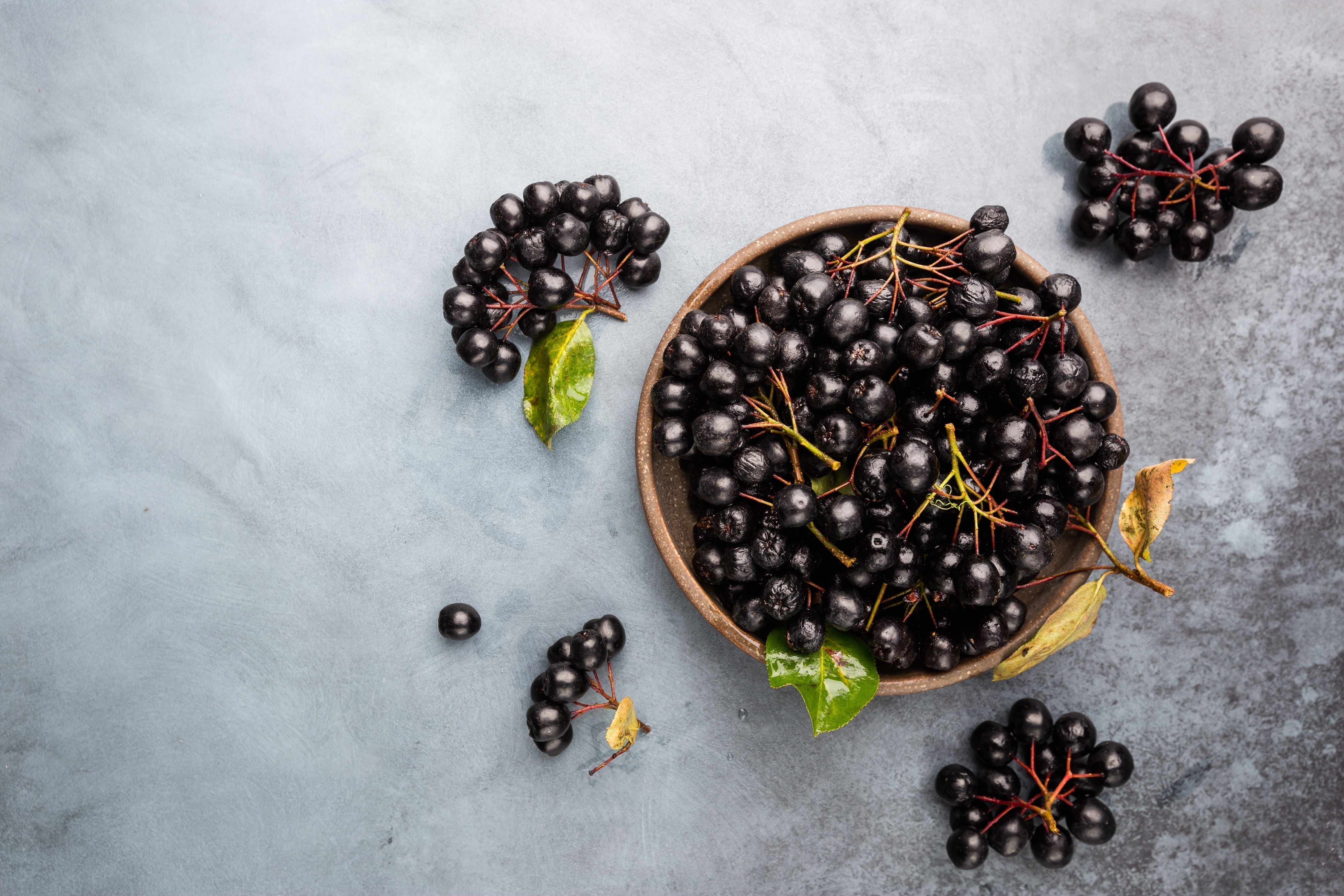 Aronia - Deep Antioxidant Defense for Vascular, Immune, and Metabolic Health