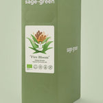 100% organic Aloe vera, turmeric and ginger juice for immunity