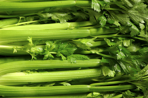 Apio Flow – 100% Celery Stalk Juice 500 ml